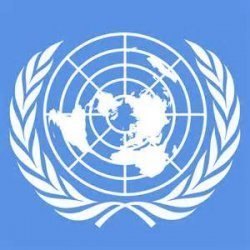 تشکیل کمیته تحقیق سازمان ملل ویژه جنایات جنگی در نوار غزه