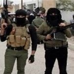 جنایت جدید تروریست‌ها: داعش 500 نفر را در الرمادی عراق اعدام کرد