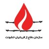  ������-����-500-��������-����������-����-����������-����-���������������-������������-��������-���������� - بیانیه سازمان دفاع از قربانیان خشونت در محکومیت حمله اسراییل علیه غزه