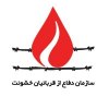  نمایشگاه-عکس-و-تجمع-گرامیداشت-روز-قدس-در-ژنو - برپایی نمایشگاه سازمان دفاع از قربانیان خشونت در حاشیه سمینار بین المللی بررسی آثار تحریم‌های مالی و اقتصادی بر بهره‌مندی از حقوق بشر