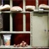  ����������-����������-������-������������-������������-����-������������-����������������-����-������������-��������������-���������� - اعتصاب غذای 70 اسیر فلسطینی