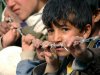 ����������-����������-������������-������������-����-����������-����������-����������-������ - افزایش هشت برابری کودکان تنهای متقاضی پناهندگی در اروپا