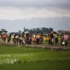  ����������-������������-������������-����������-��������������-����-������-��������-����-����������-���������� - 90 هزار آواره و صدها کشته حاصل دور جدید خشونت‌ها علیه روهینجاهای میانمار