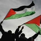  مستقل-حقوق-بشرفلسطین - رئیس انجمن مستقل حقوق بشرفلسطین: غزه هدف تروریسم سازمان یافته است