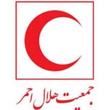 اعزام کشتی حامل کمک های دارویی هلال احمر ایران برای مردم یمن - هلال احمر