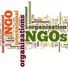 ضرورت استفاده از ظرفیت سازمان های مردم نهاد برای تحقق حقوق شهروندی - NGO