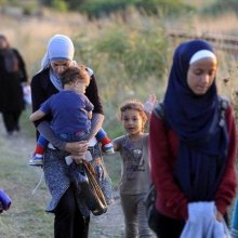  ��������������-�������� - سازمان ملل: بیش از دو میلیون آواره جدید تنها در طول سال جاری داشتیم